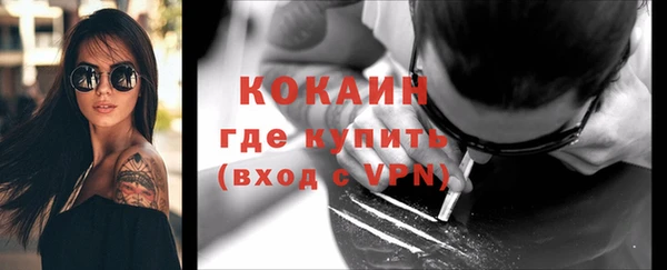 ешки Козловка