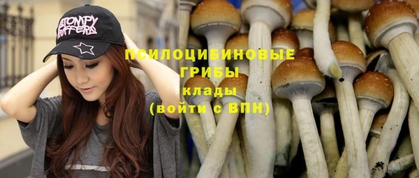 спиды Каменка