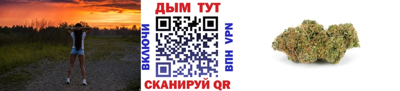 Канабис гибрид  Киренск 